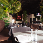 IVY KITCHEN & BAR Rockville Centre, NY