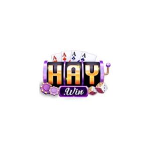Profile photo of HAYWIN Bid