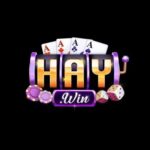 Profile photo of Haywin rucom