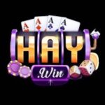 Profile photo of Cổng Game Haywin