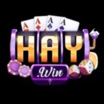 Profile photo of Haywin 4com