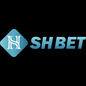 Profile photo of Shbet vy