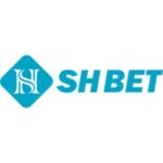Profile photo of Shbet net