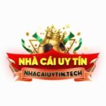 Profile photo of nhacaiuytin tech
