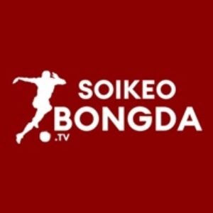Profile photo of soikeobongda ttv