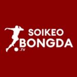 Profile photo of soikeobongda ttv