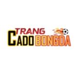 Profile photo of Trang Cá Độ Bóng Đá