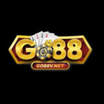 Profile photo of Gamego88 Top