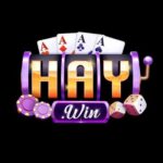 Profile photo of Cổng game Haywin
