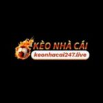 Profile photo of keonhacai 247live