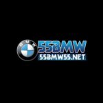 Profile photo of BMW 55