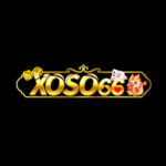 Profile photo of Xoso66vnm Ukcom