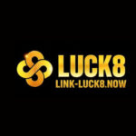 Profile photo of Linkluck8 Now