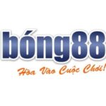 Profile photo of Trang Chủ Bong88