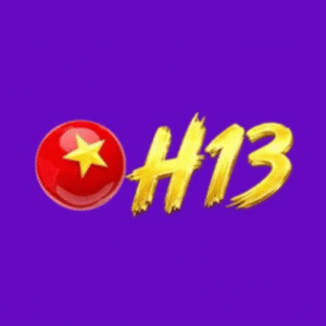 Profile photo of SH133 Net