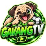 Profile photo of gavangtv news