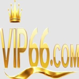 Profile photo of VIP 66