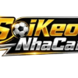 Profile photo of soikeo top