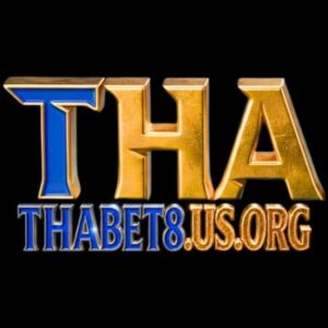 Profile photo of thabet8 usorg