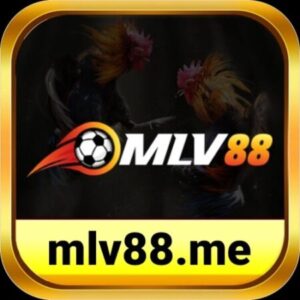 Profile photo of MLV88 ME