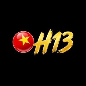 Profile photo of h13 solutions