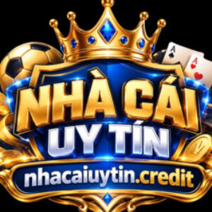 Profile photo of NHA CAI UY TIN