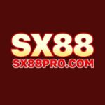 Profile photo of sx88 procom