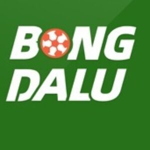 Profile photo of bongdalu build