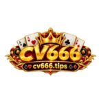 Profile photo of cv666 tips