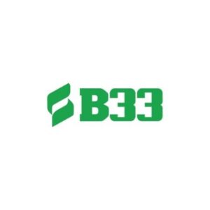 Profile photo of B33 COM