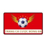 Profile photo of Trangcacuocbongda Health
